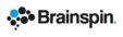 logo brainspin